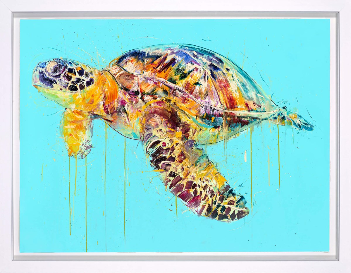 Sea Turtle | Dave White – Clarendon Fine Art