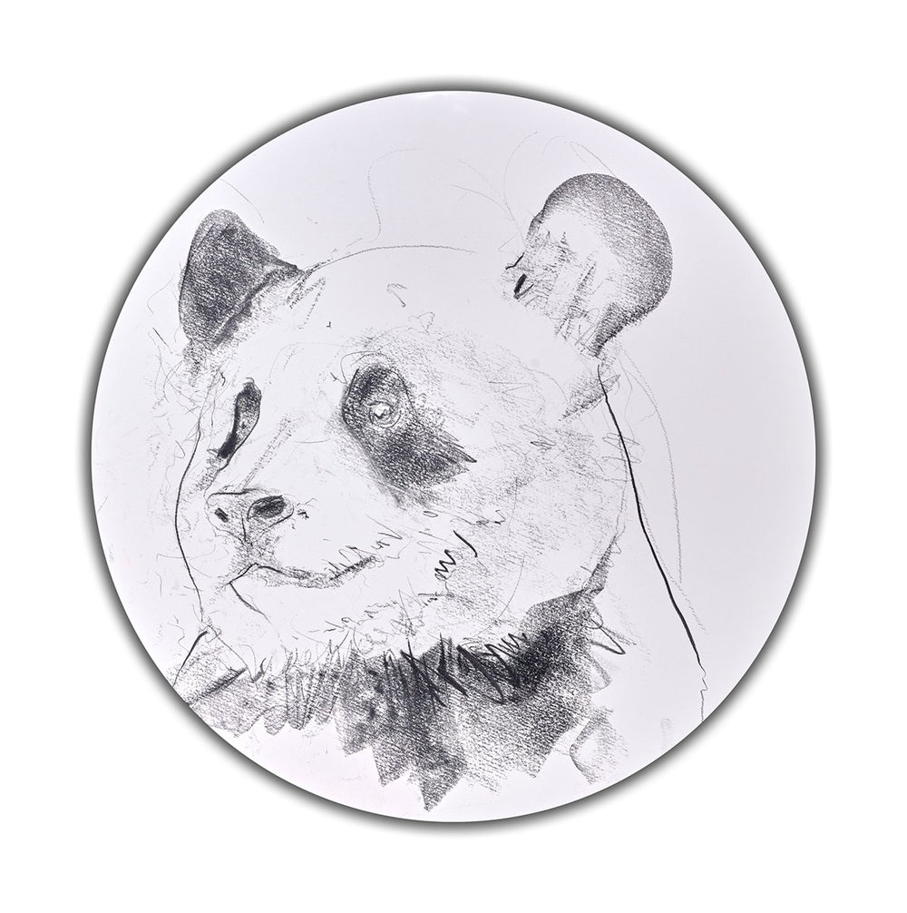Giant Panda Study III