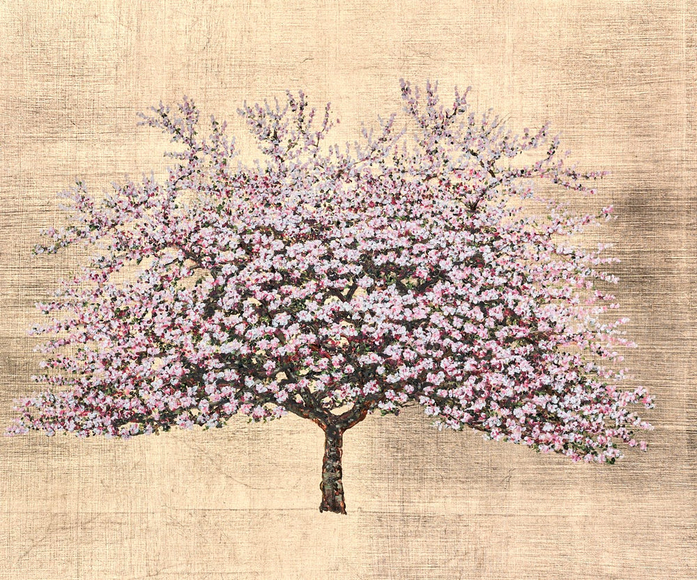 Pixie Blossom