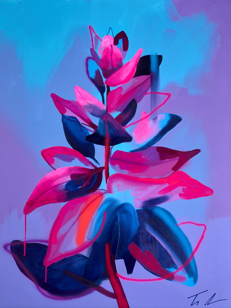 Between Blue and Purple