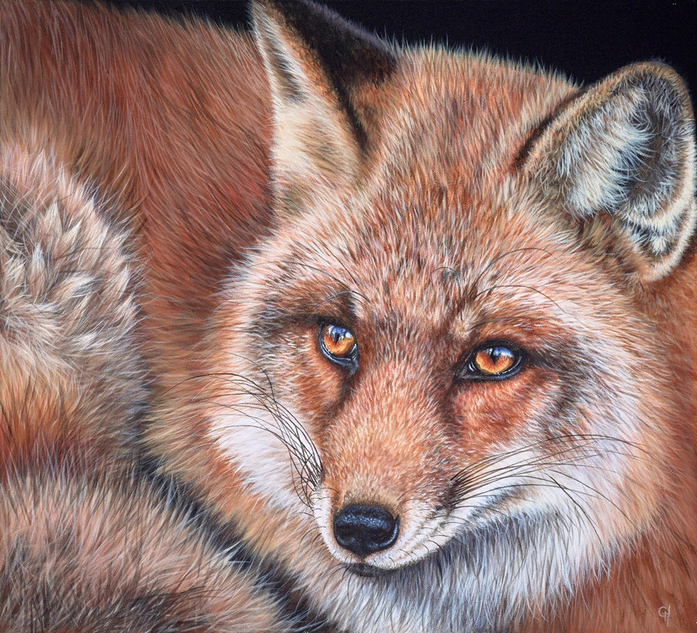 Watching Fox