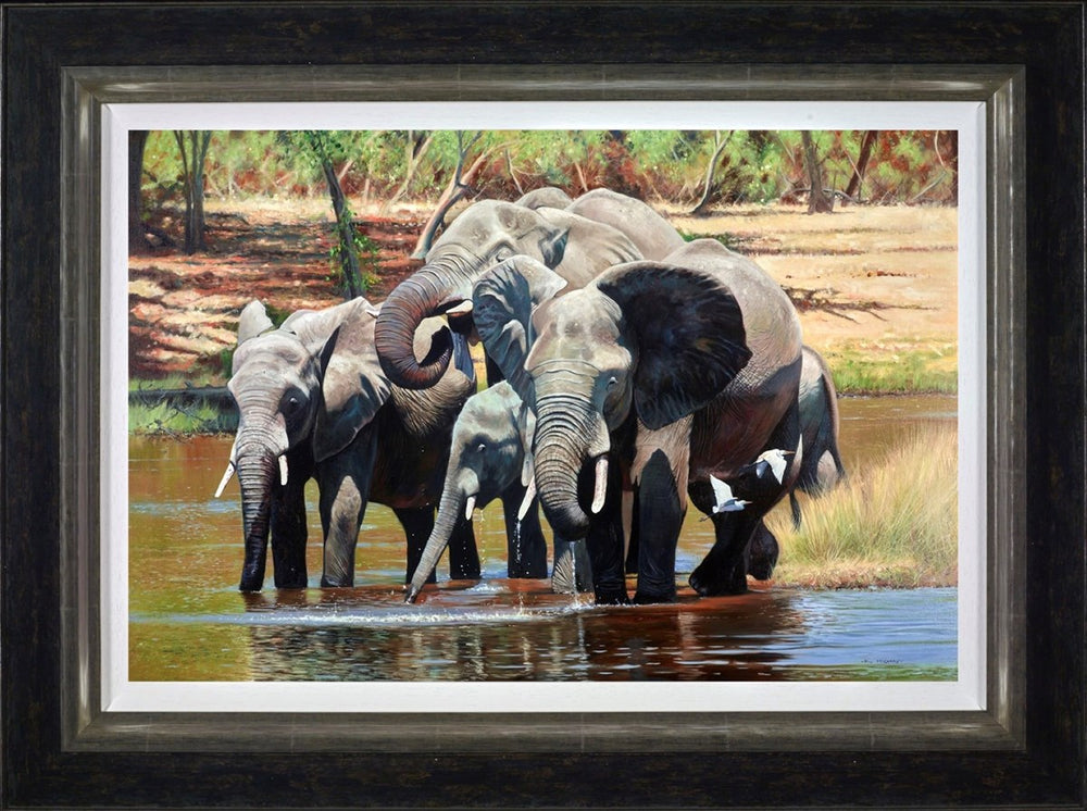 Somewhere in Africa (Framed)