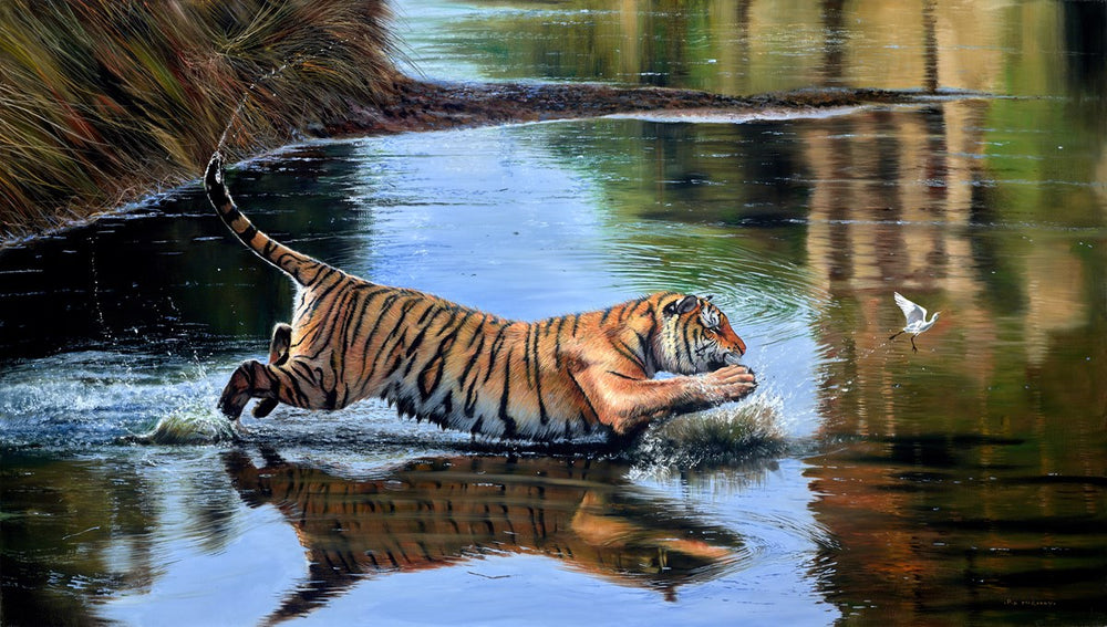 Tiger Dreams
