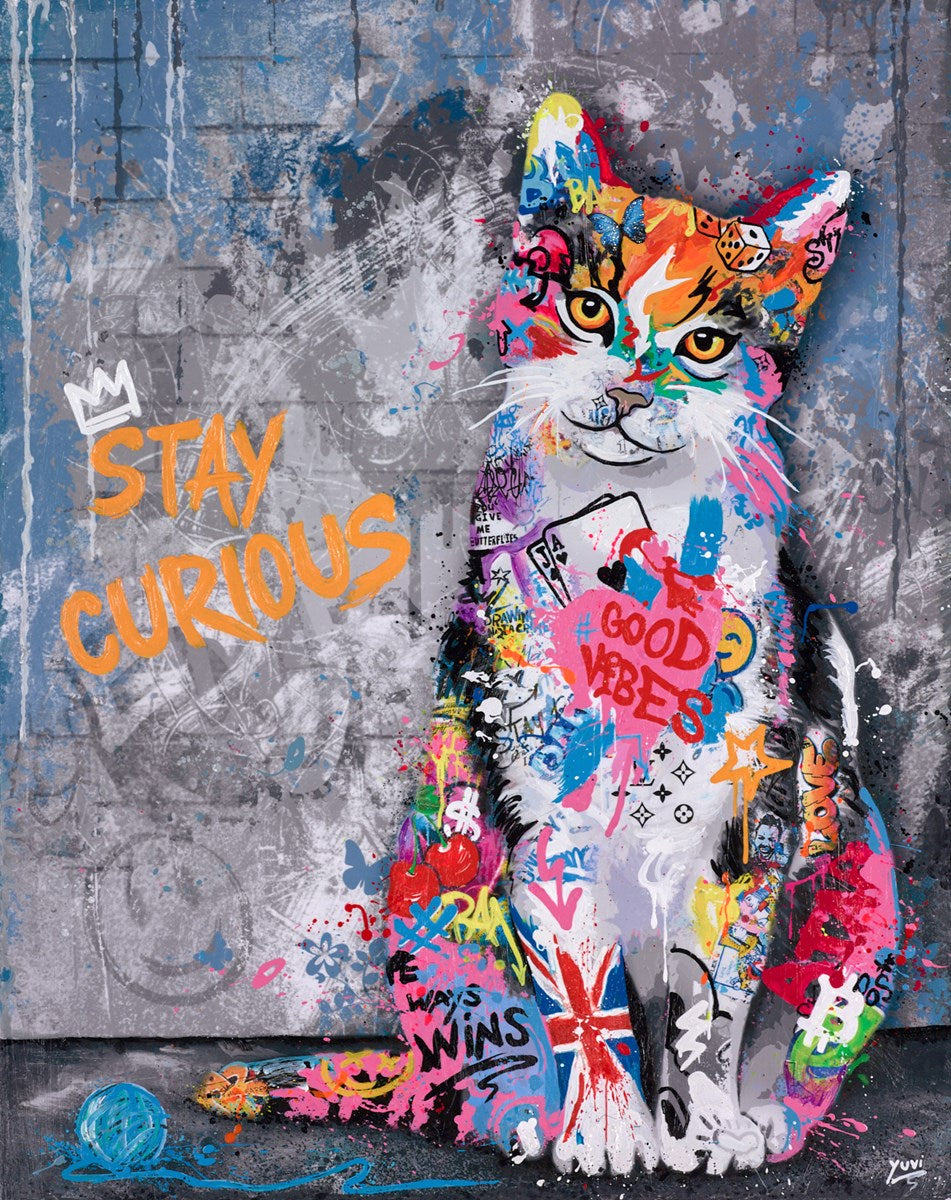 Stay Curious - Cat