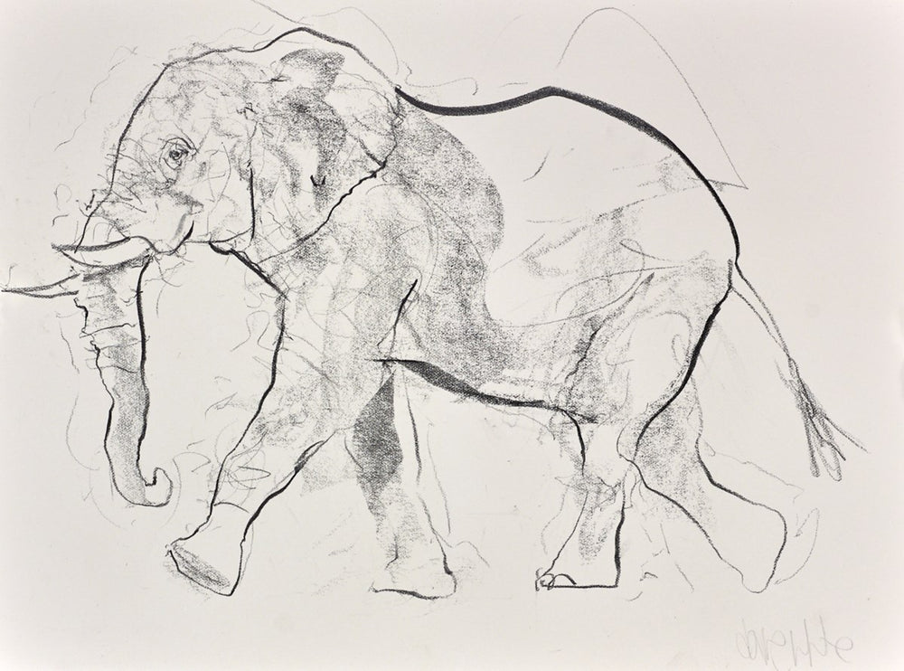 Elephant Study XXII