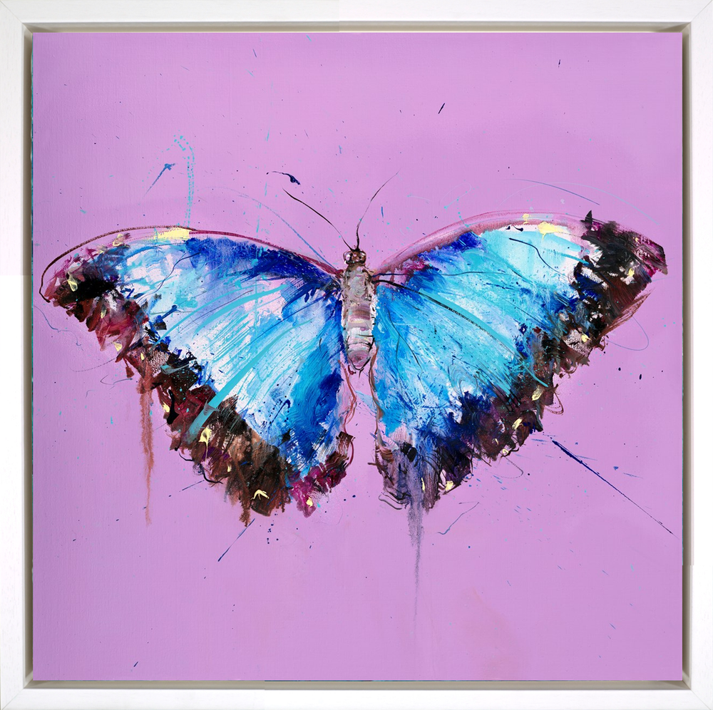 Morpho Butterfly | Dave White – Clarendon Fine Art