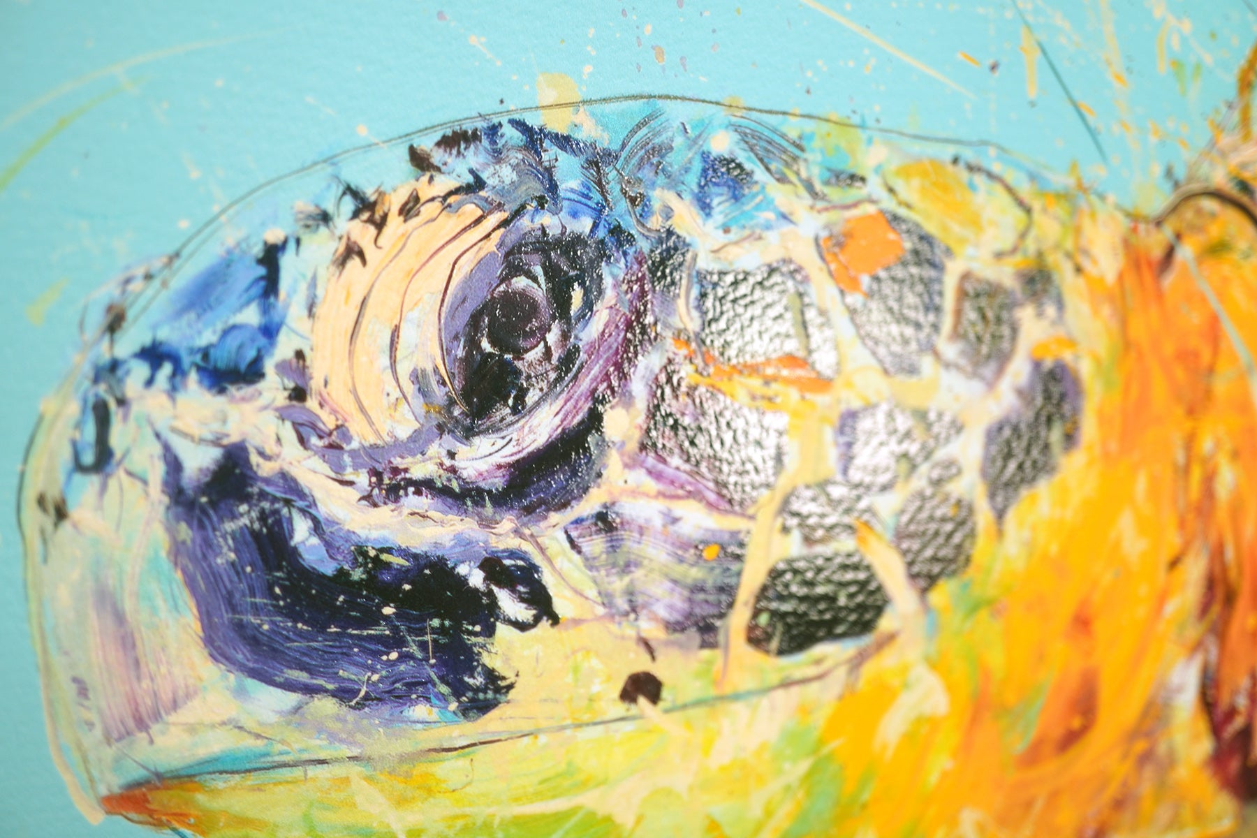 Sea Turtle | Dave White – Clarendon Fine Art