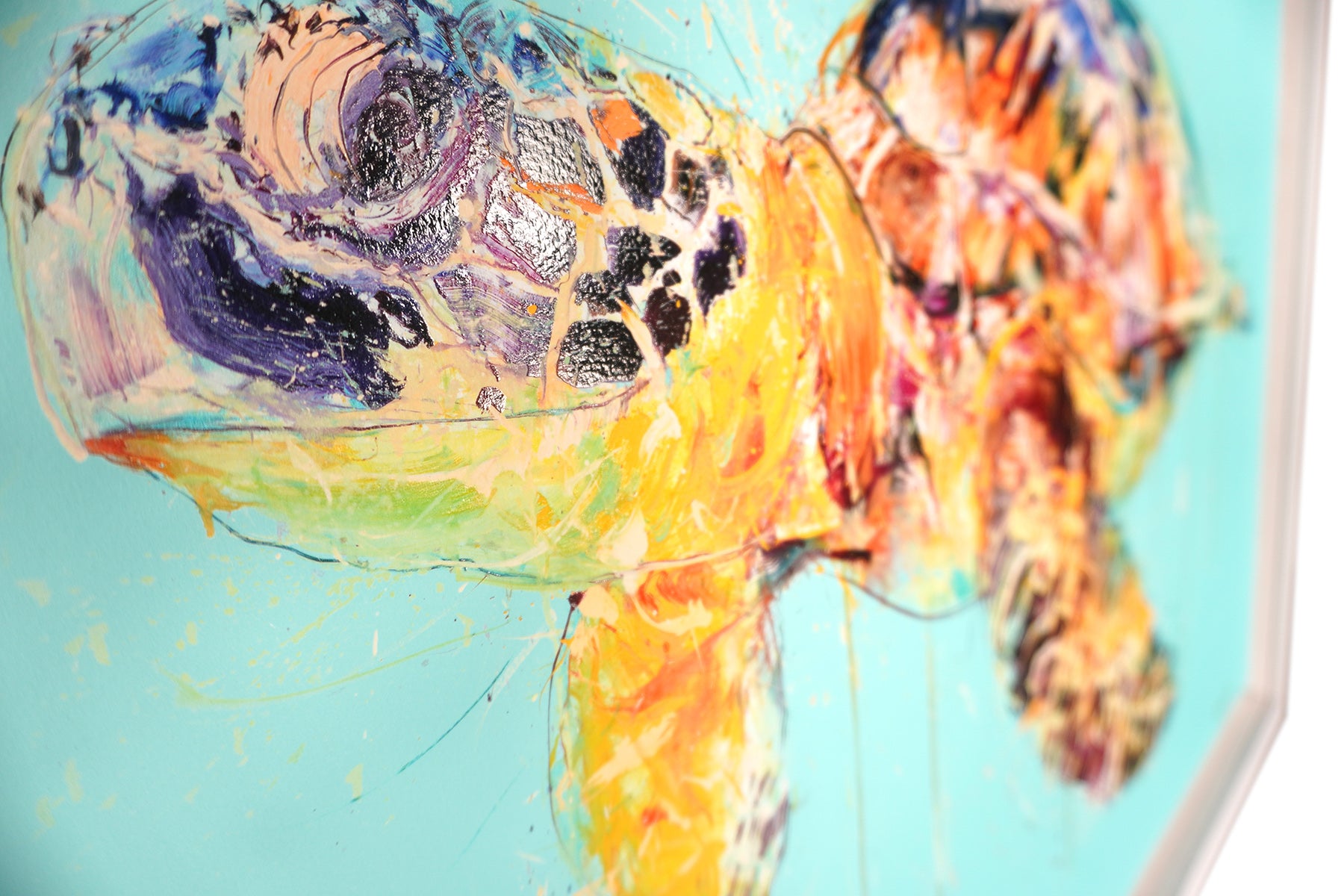 Sea Turtle | Dave White – Clarendon Fine Art