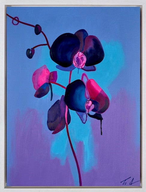 Black Orchid | Tim Fowler – Clarendon Fine Art