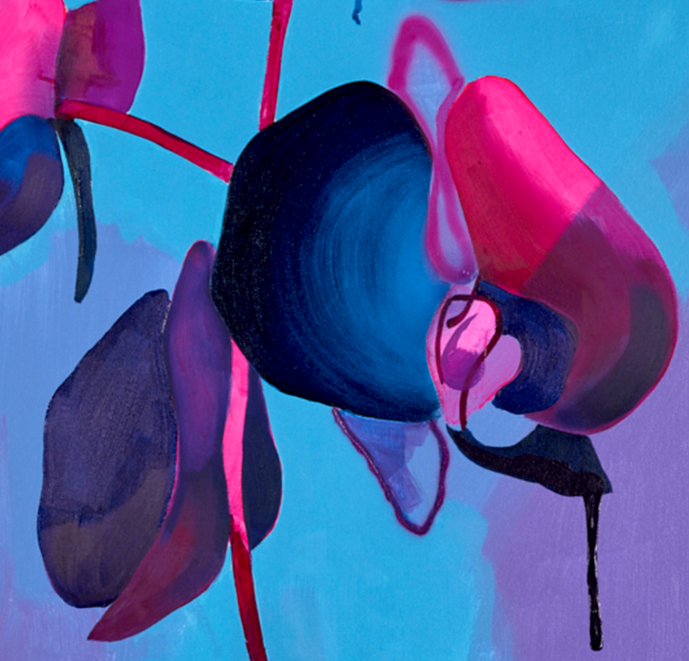 Black Orchid | Tim Fowler – Clarendon Fine Art