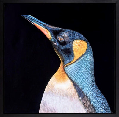 Penguin (Framed)