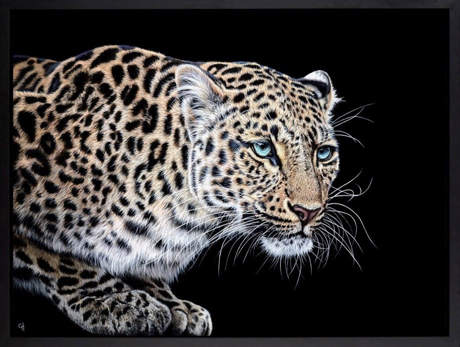 Ready To Pounce | Gina Hawkshaw - Clarendon Fine Art