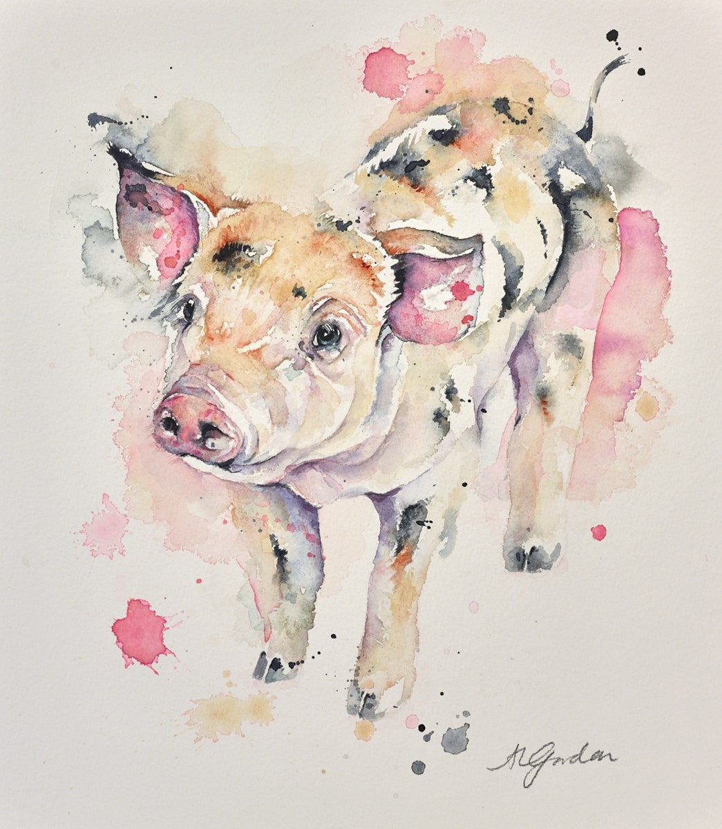 Gloucestershire Old Spot Piglet | Amanda Gordon - Clarendon Fine Art