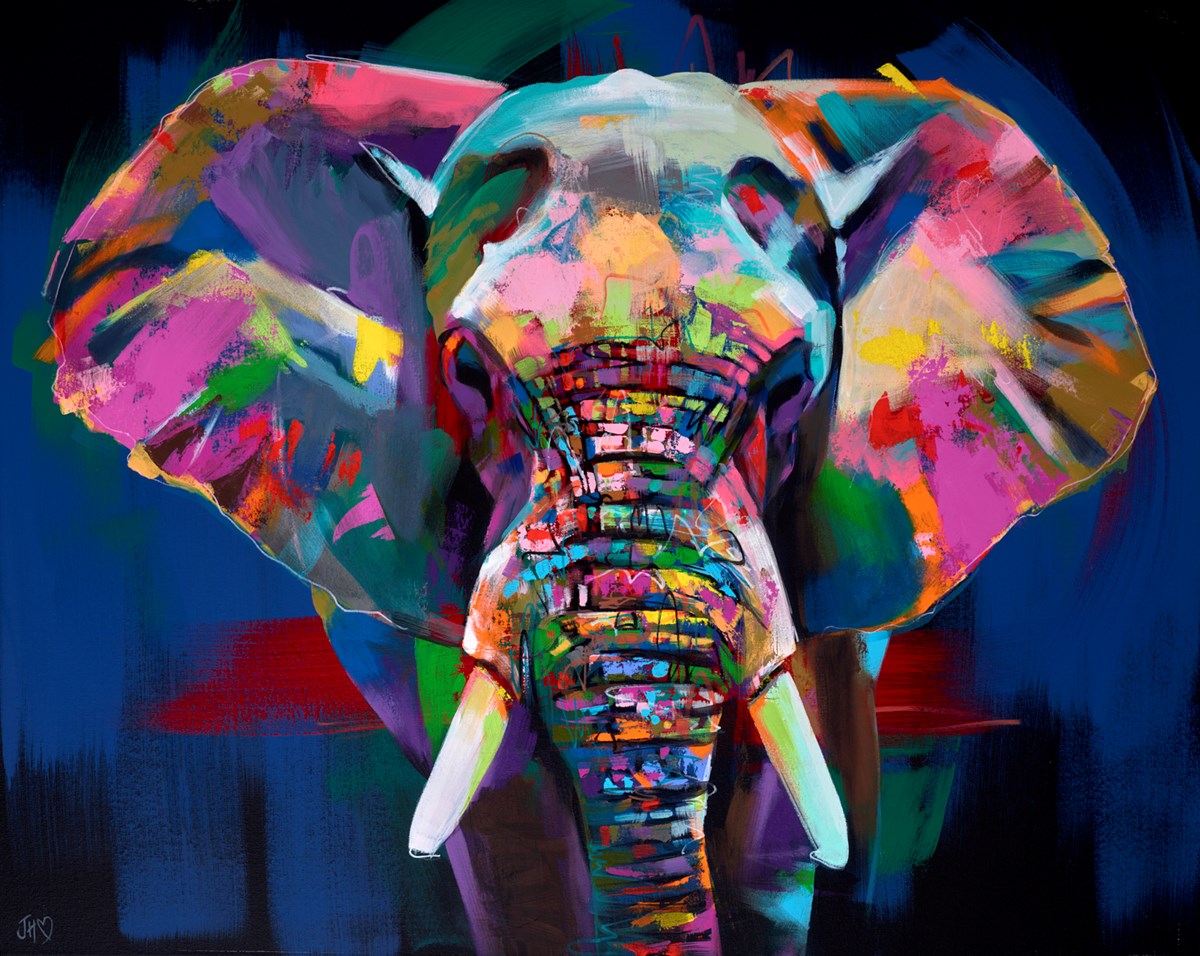 African Elephant Aura | Jennifer Hogwood – Clarendon Fine Art