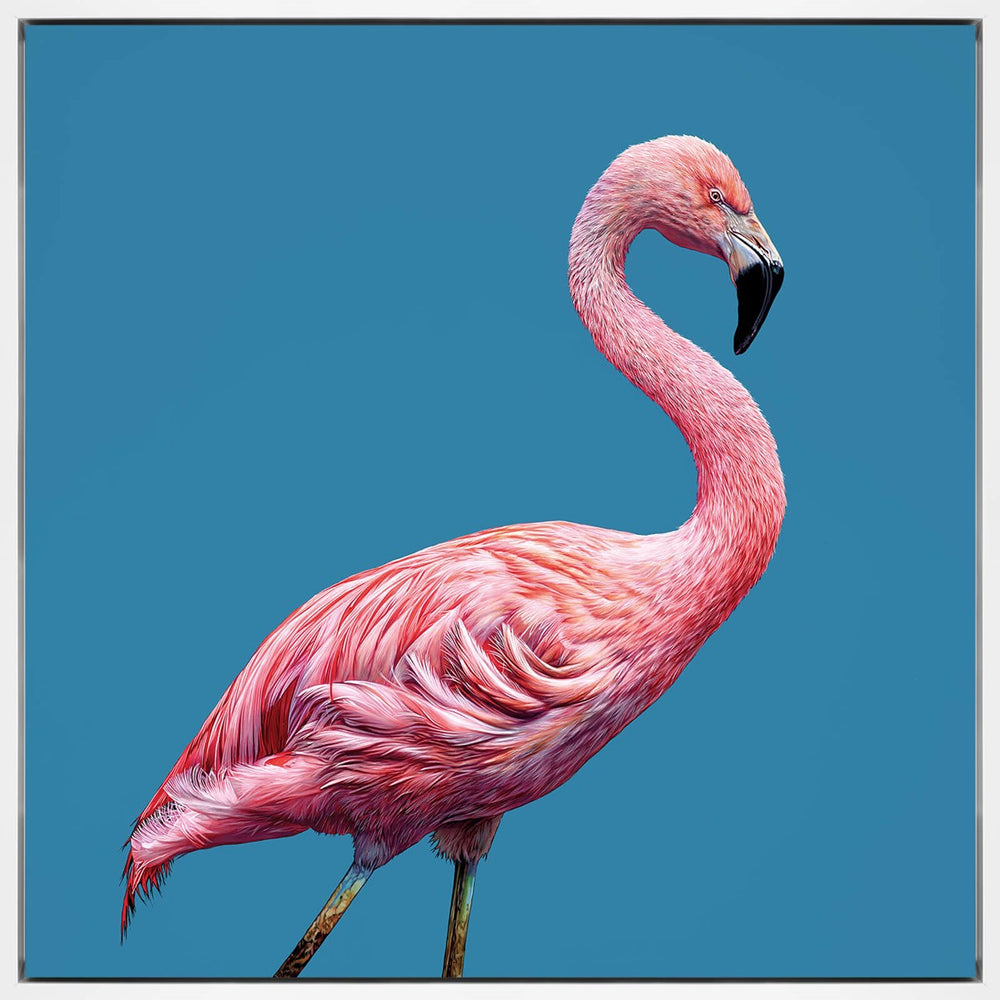 Strike a Pose (Framed)