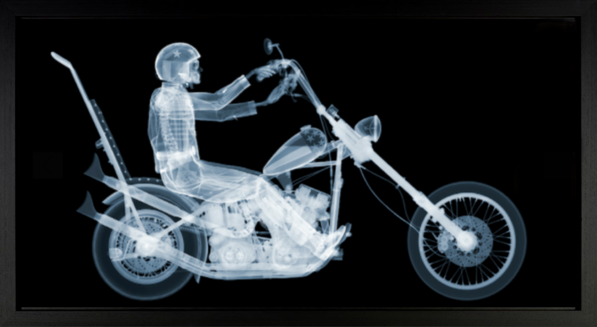 Easy Rider | Nick Veasey – Clarendon Fine Art