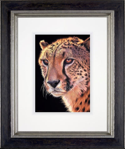 Cheetah (Framed)