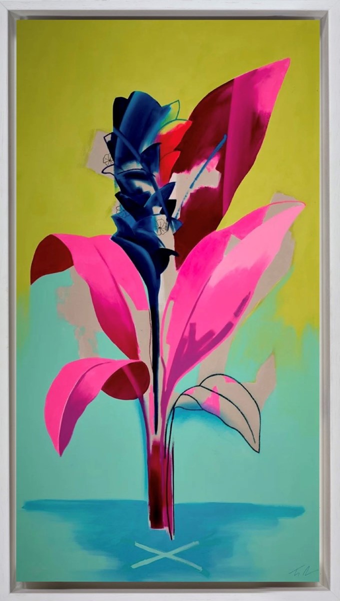 Turmeric | Tim Fowler – Clarendon Fine Art