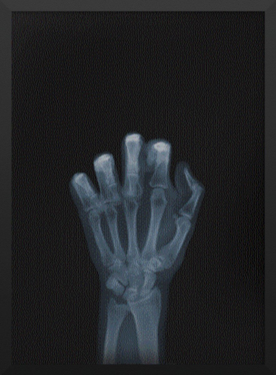 Flippin' The Bird (Framed)