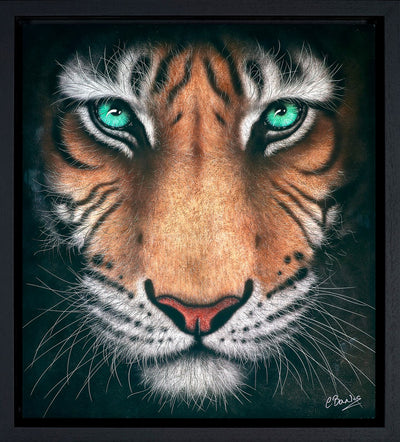 Eye of the Tiger (Framed)