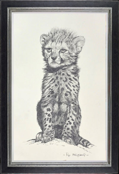 Young Cheetah Cub II (Framed)