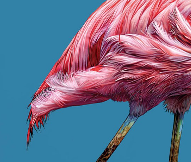 Strike a Pose (Detail2)