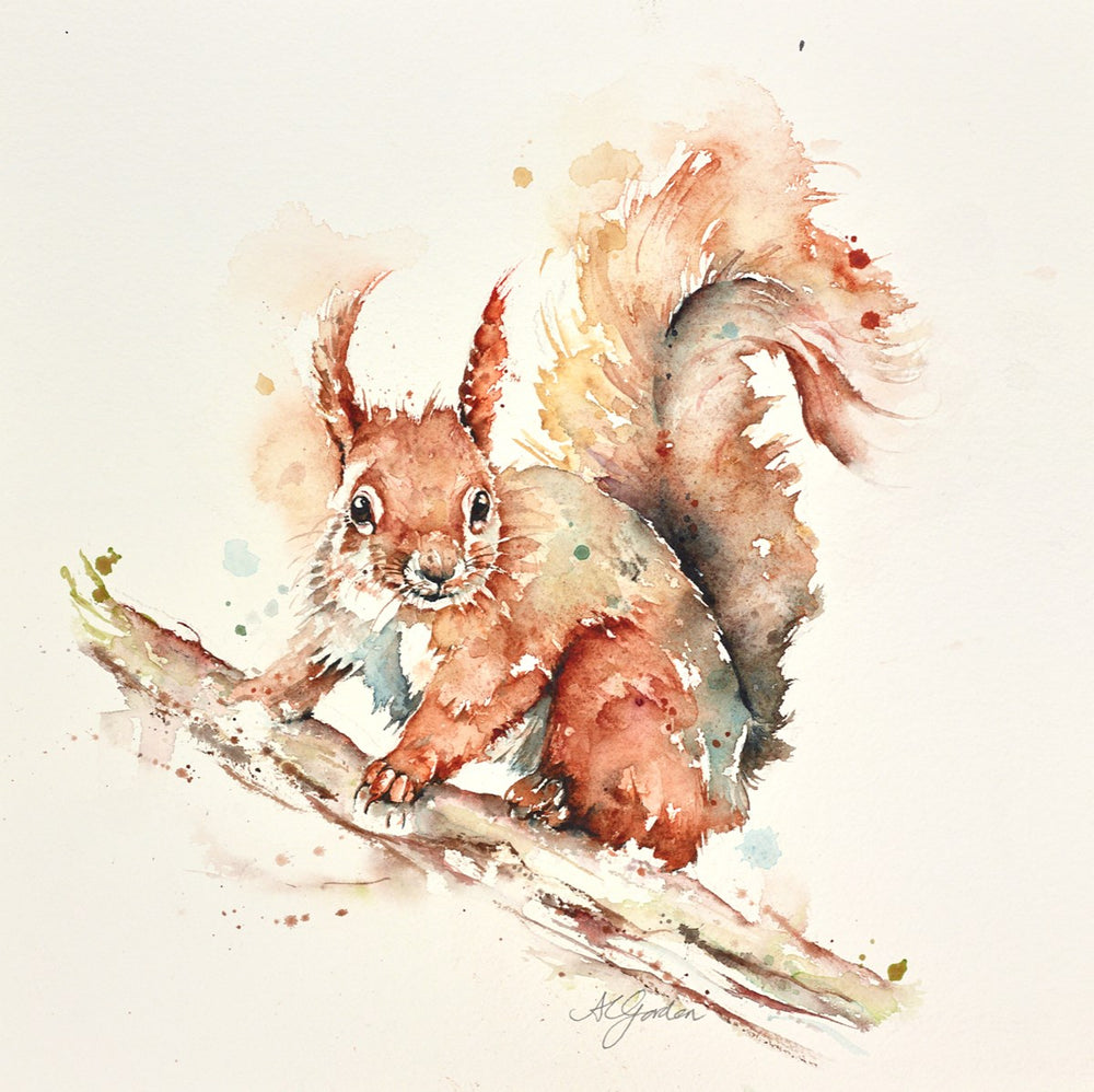 Little Red Squirrel