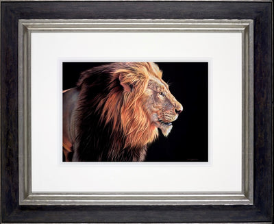 Lion (Framed)